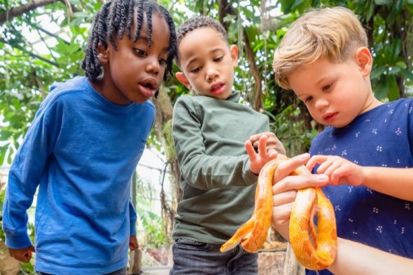 Almere-Dierentuin-Schoolreisje-Korenslang