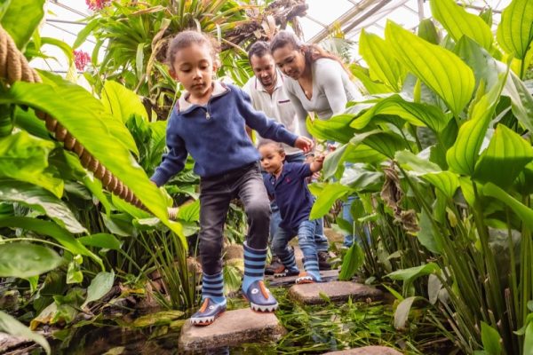 Schoolreis-Dierenpark-Almere-Avonturenpaadje